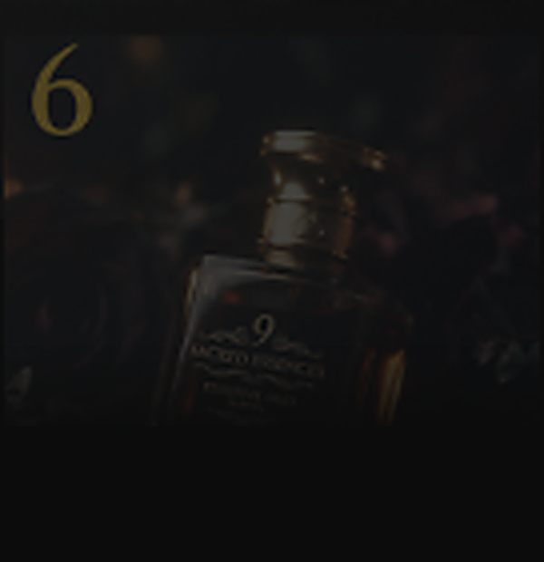 Essence VI — The Nurturer
