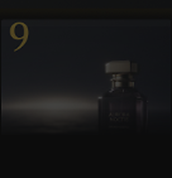 Essence IX — The Humanitarian